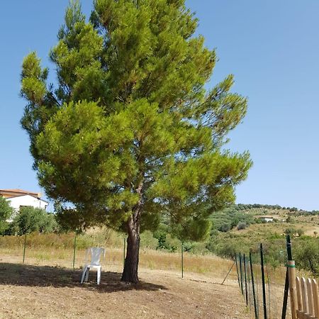 Villetta Nel Verde Ascea Exterior photo