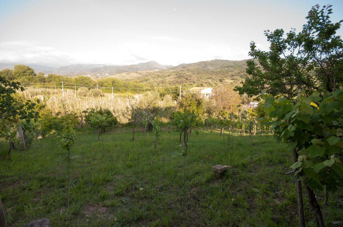 Villetta Nel Verde Ascea Exterior photo